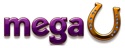 mega hoki